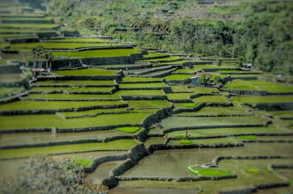 Banaue4